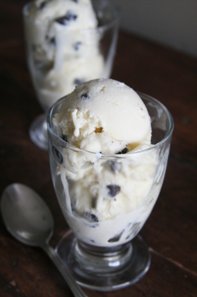 chocolate chip ice cream