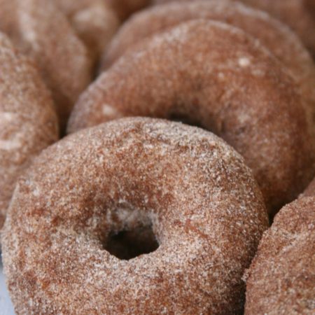 Apple Cider cake doughnuts rolled in cinnamon sugar mixture and lined up against each other on a piece of parchment paper