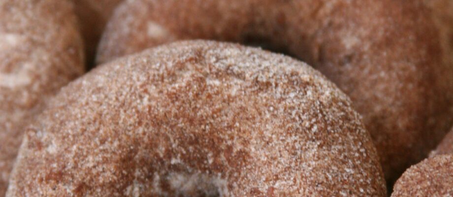 Apple Cider cake doughnuts rolled in cinnamon sugar mixture and lined up against each other on a piece of parchment paper