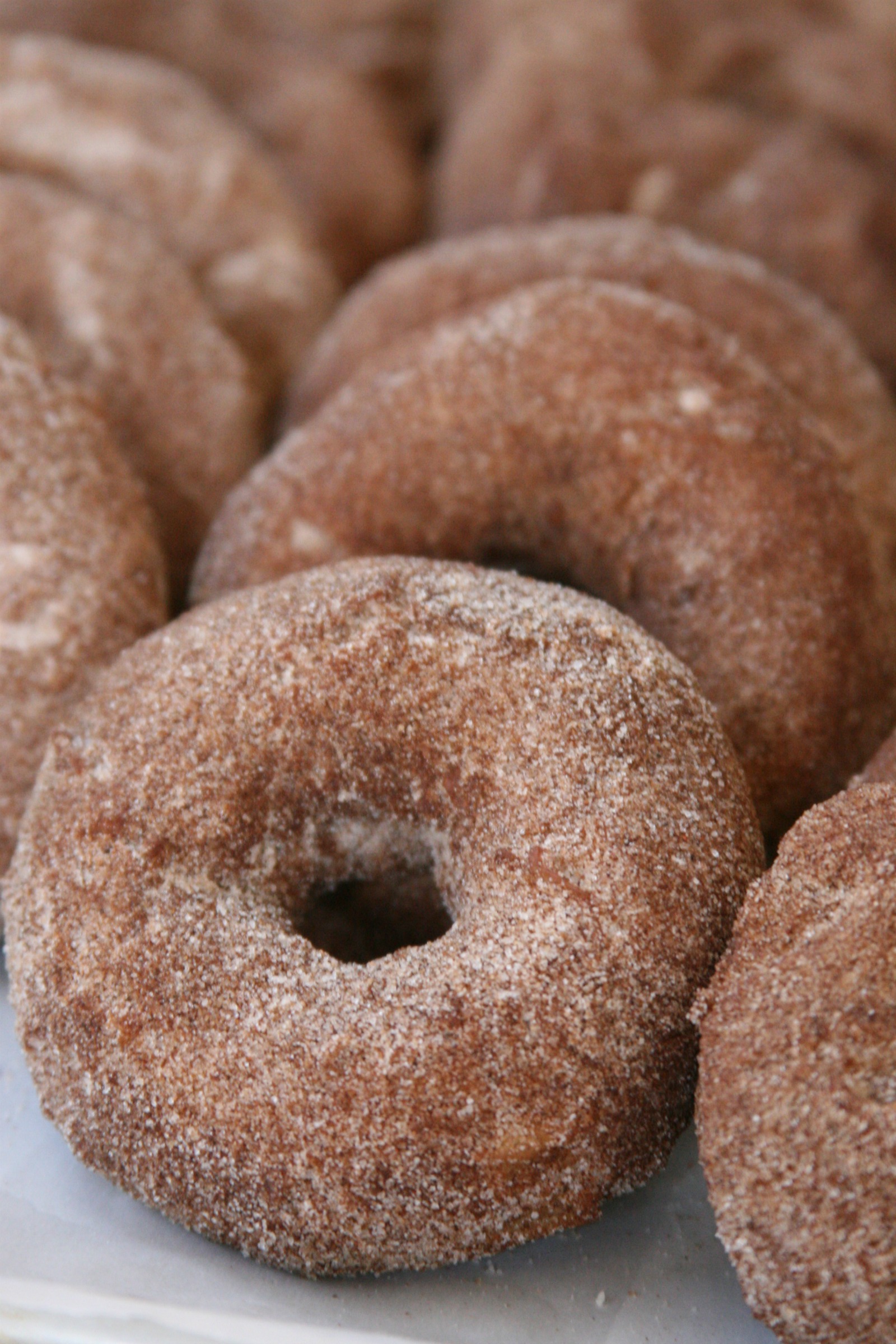 Apple Cider donuts sprinkled with cinnamon sugar mixture lined up against each other on parchment paper