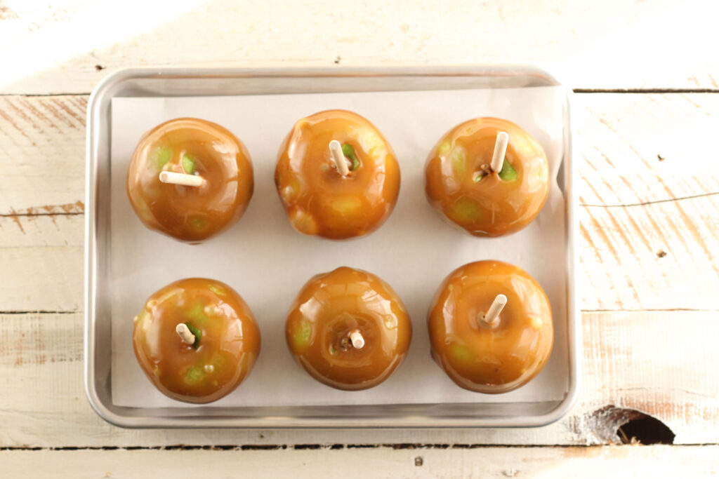 caramel apples cooling on a half sheet pan