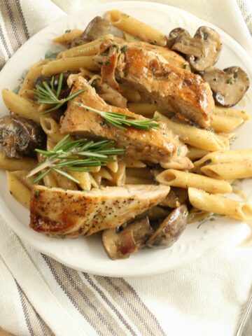 lemon rosemary chicken pasta with a cream sauce and mushrooms on a white plate. Fresh sprig of rosemary on top of pasta