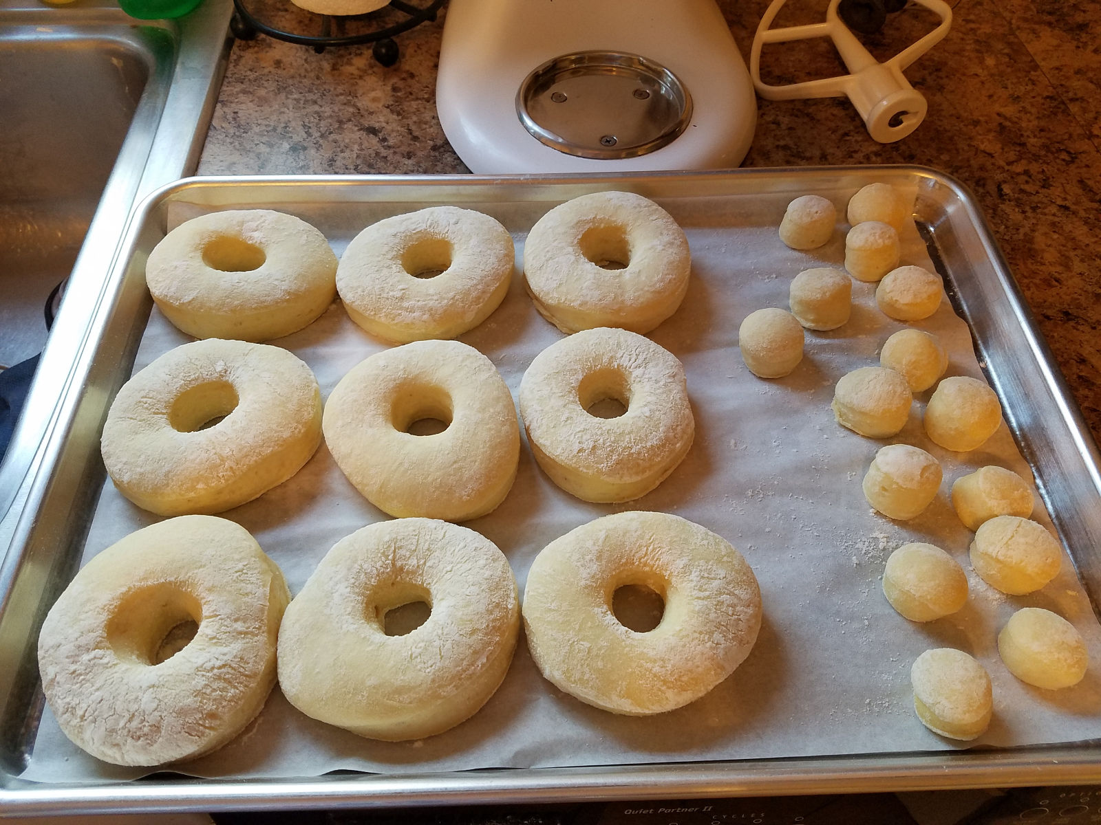 glazed doughnuts rising on a baking pan.