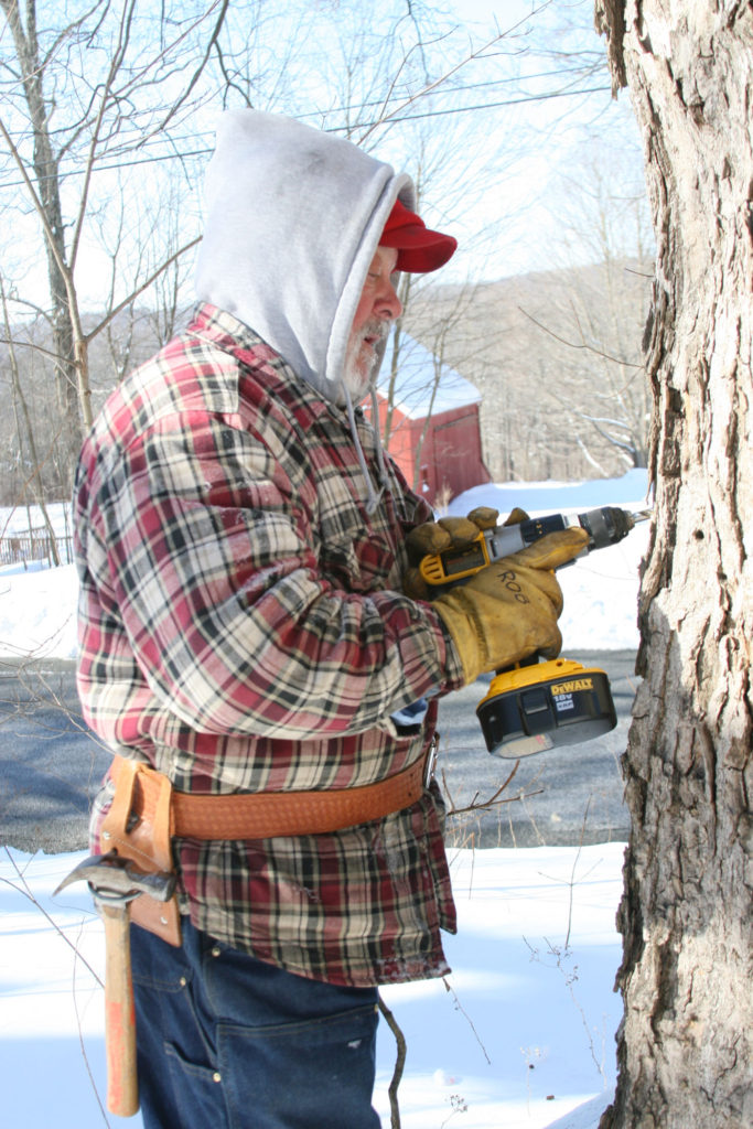 Man with gray beard and wearing flannel jacket outside tapping maple trees for maple syrup