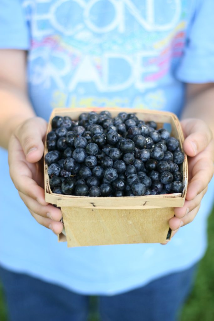 Pint of blueberries being held by a little boy