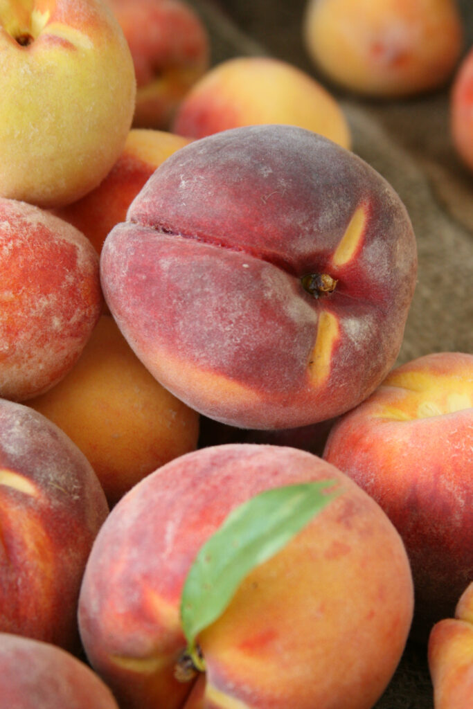 freshly picked peaches piled in a vintage wooden apple crate