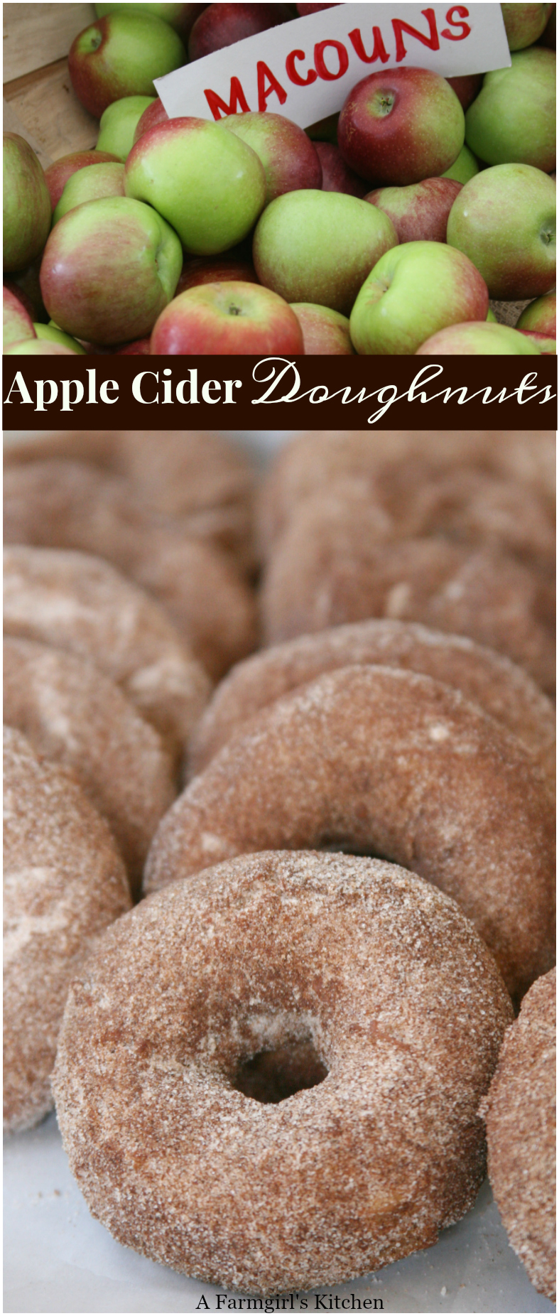 Apple Cider Doughnuts are a cake style doughnut rolled in a cinnamon sugar mixture. They are simple to make and will remind you of fairs and apple orchards. #recipes #easyrecipes #applecider #apples #appleciderdoughnuts #doughnuts #homemade