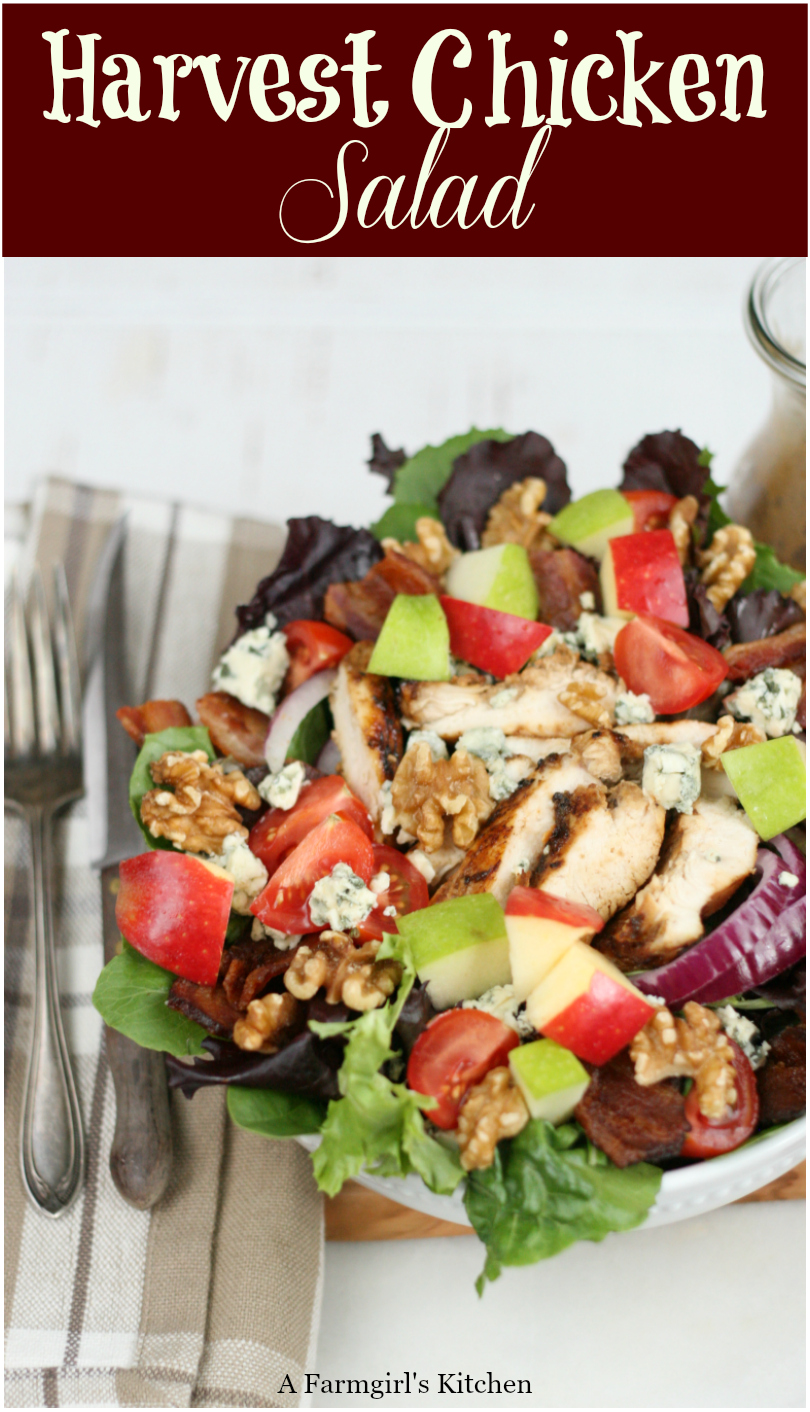 Harvest chicken salad with mixed baby greens, slices of red onions, walnuts, chunks of blue cheese, red and green apples is easy to make and perfect for fall. #recipe #chickensalad #easyrecipes #salad