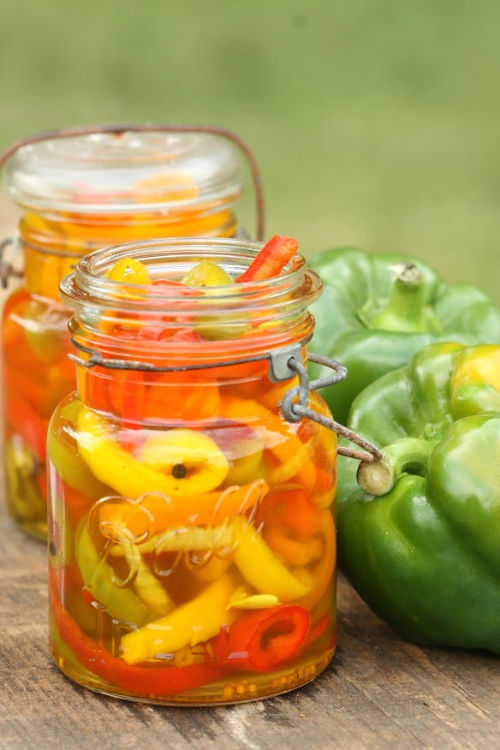 Pickled Sweet Peppers Recipe A Farmgirl's Kitchen