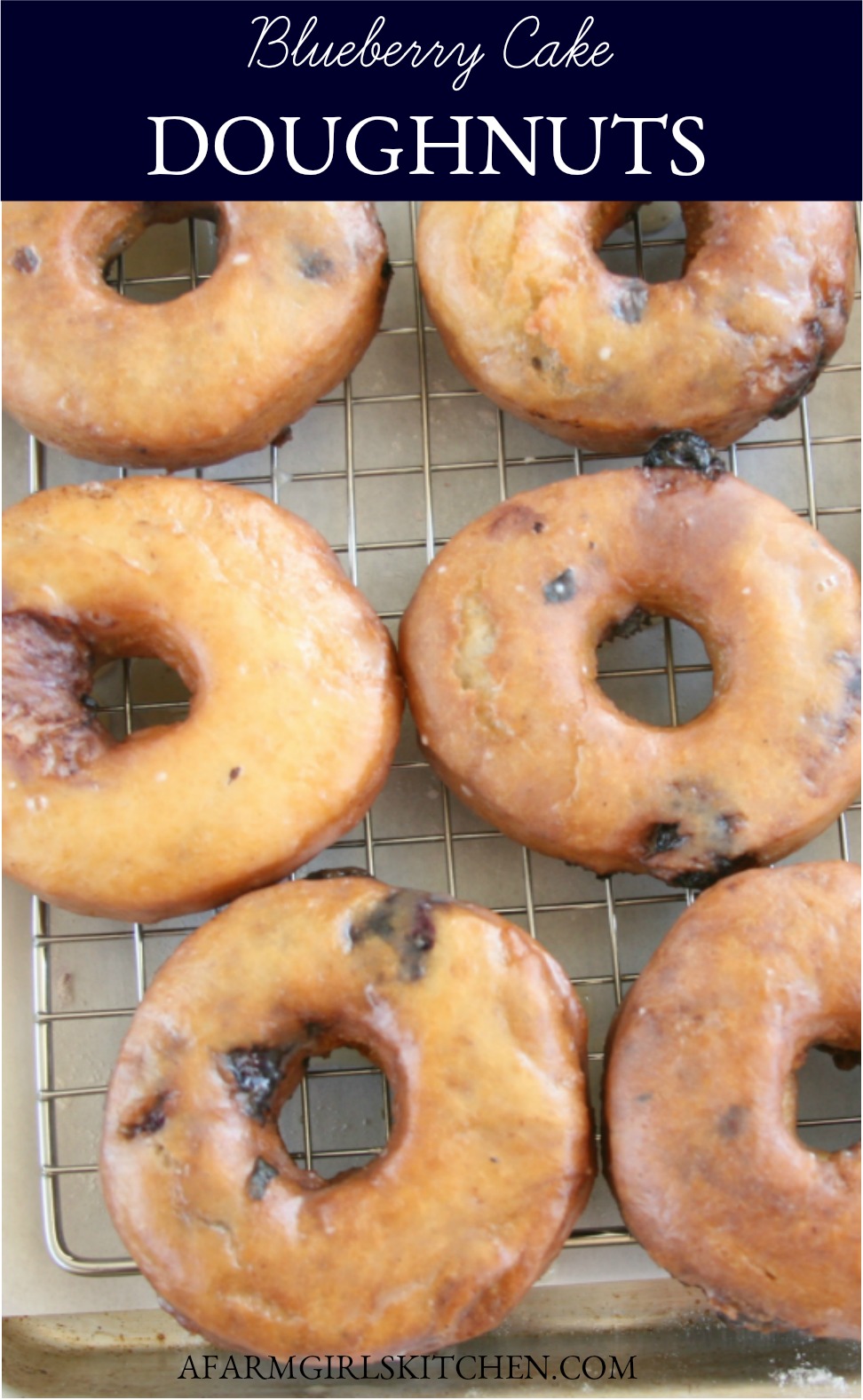 Easy Blueberry Cake Doughnuts A Farmgirls Kitchen