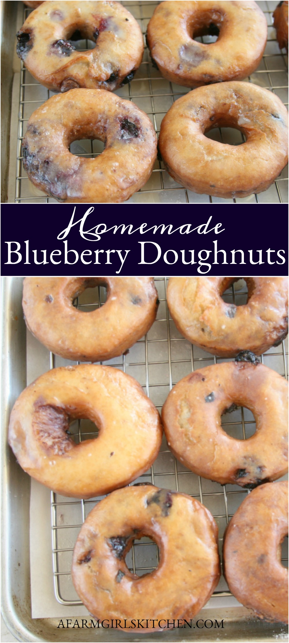 Easy Blueberry Cake Doughnuts A Farmgirls Kitchen