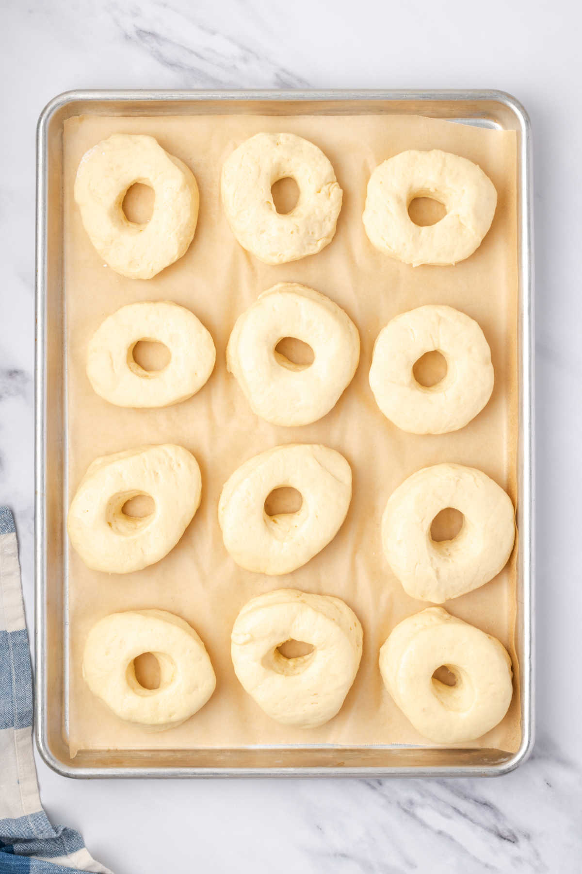Yeast donuts rising on sheet pan.
