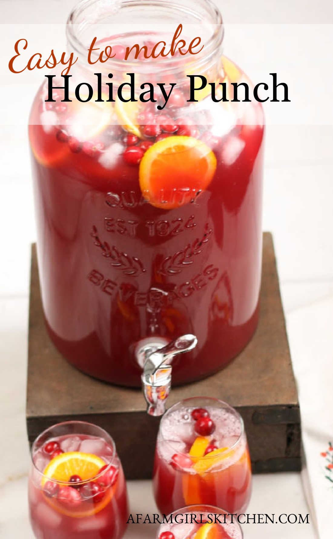 Holiday Punch Recipe (Made with 4-ingredients!) | A Farmgirl's Kitchen