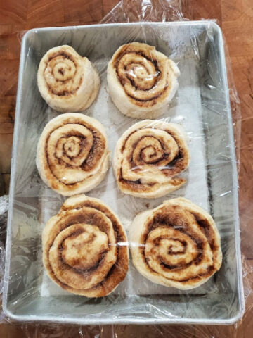 six cinnamon rolls rising in a 9x13-inch metal baking pan, covered with plastic wrap