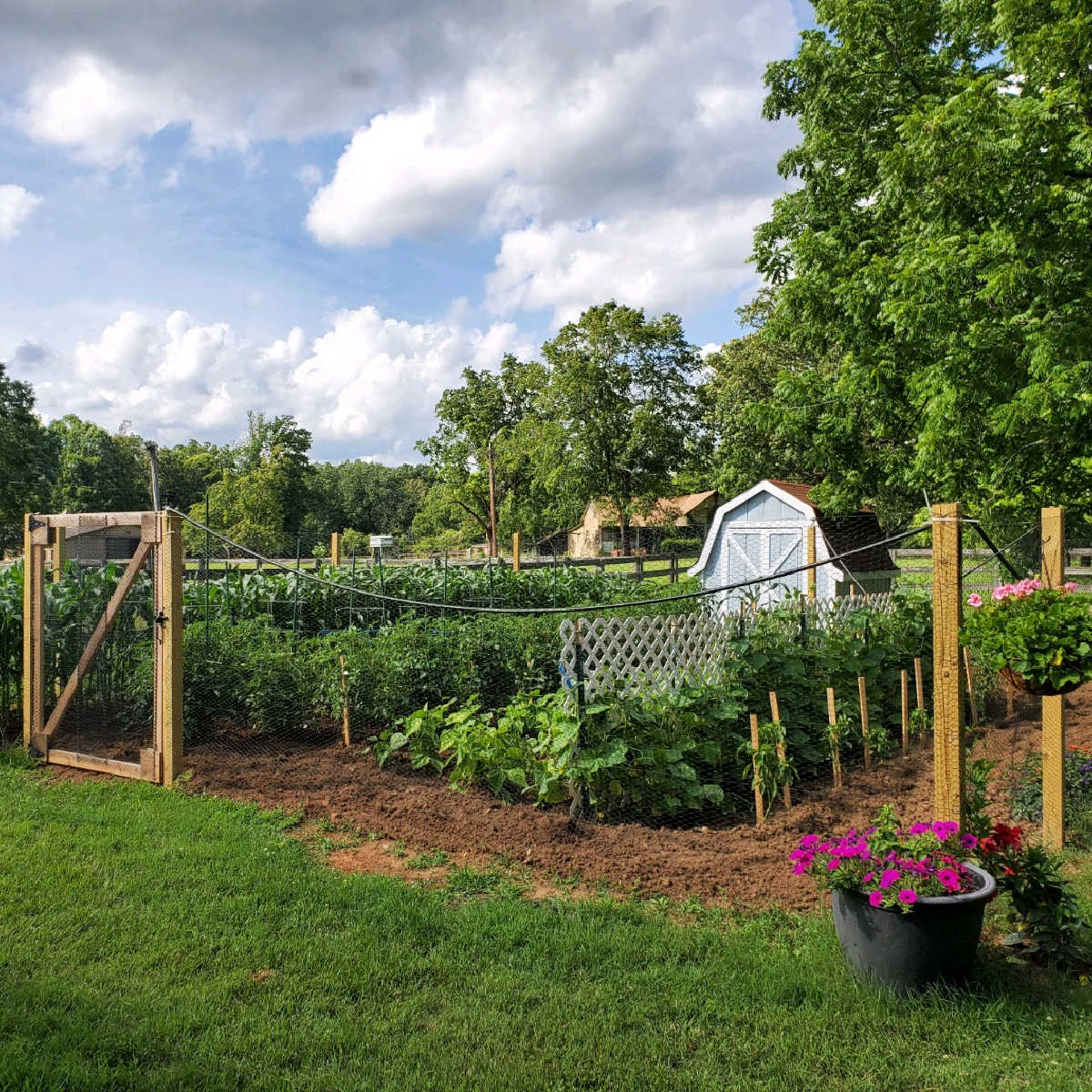 Planting a Vegetable Garden | A Farmgirl's Kitchen, image size:1200x1200