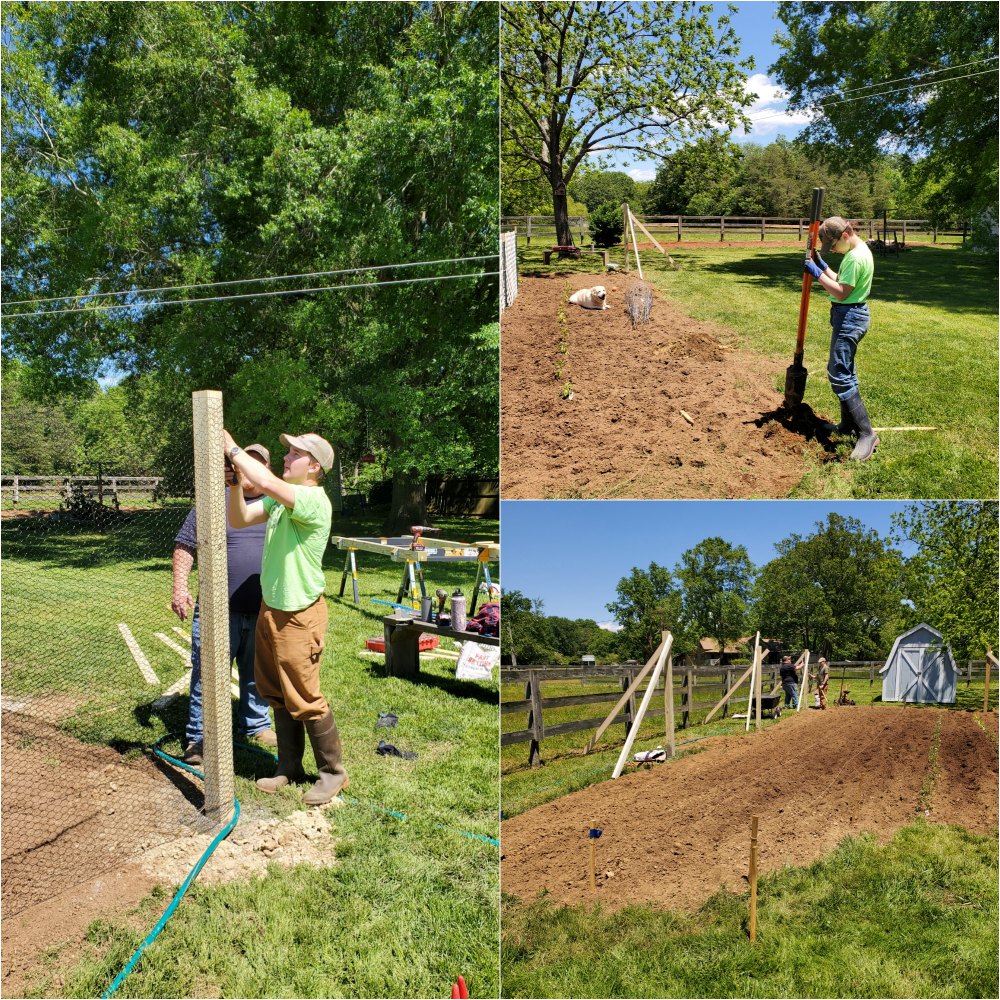 putting up fence around vegetable garden.