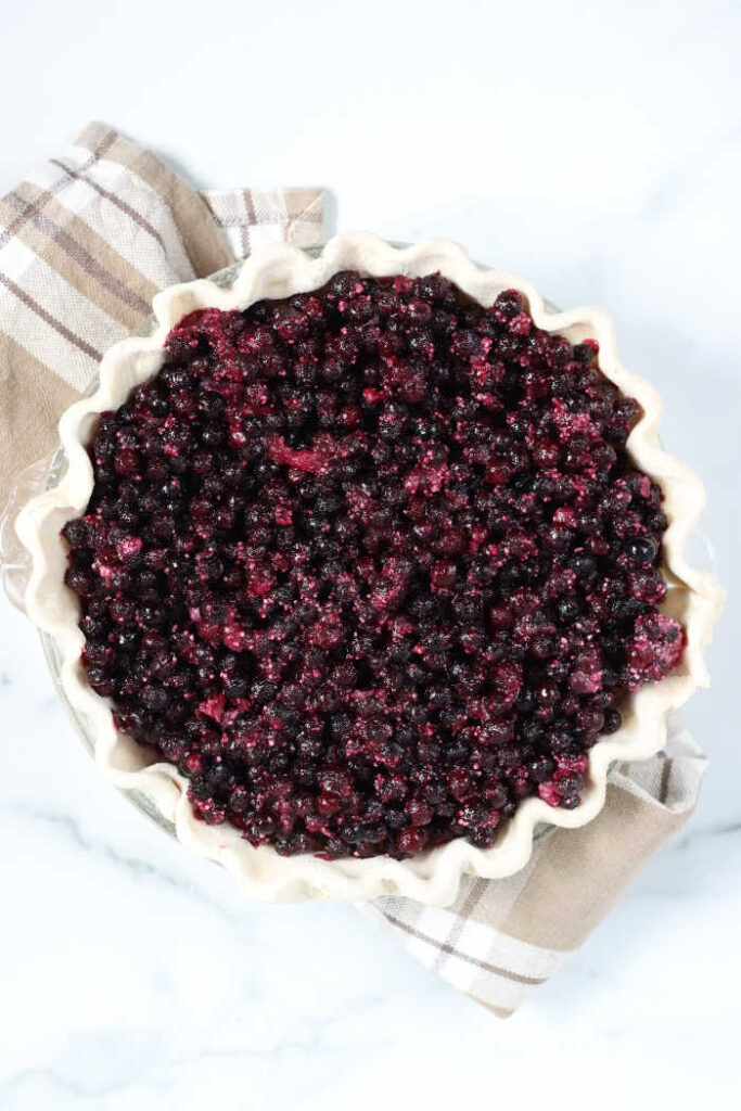 Blueberry Pie with Crumb Topping - A Farmgirl's Kitchen