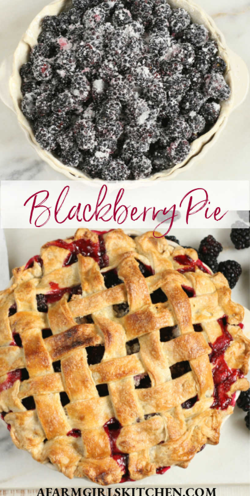 sweetie pie blackberry care
