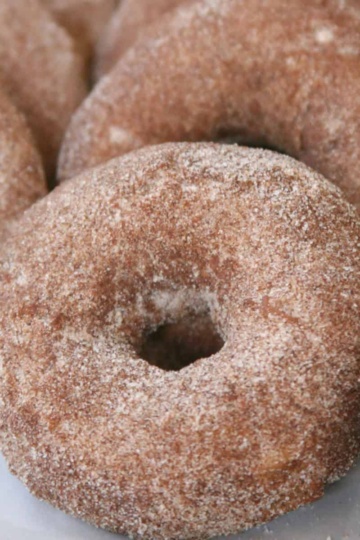 Apple donuts coated in cinnamon sugar.