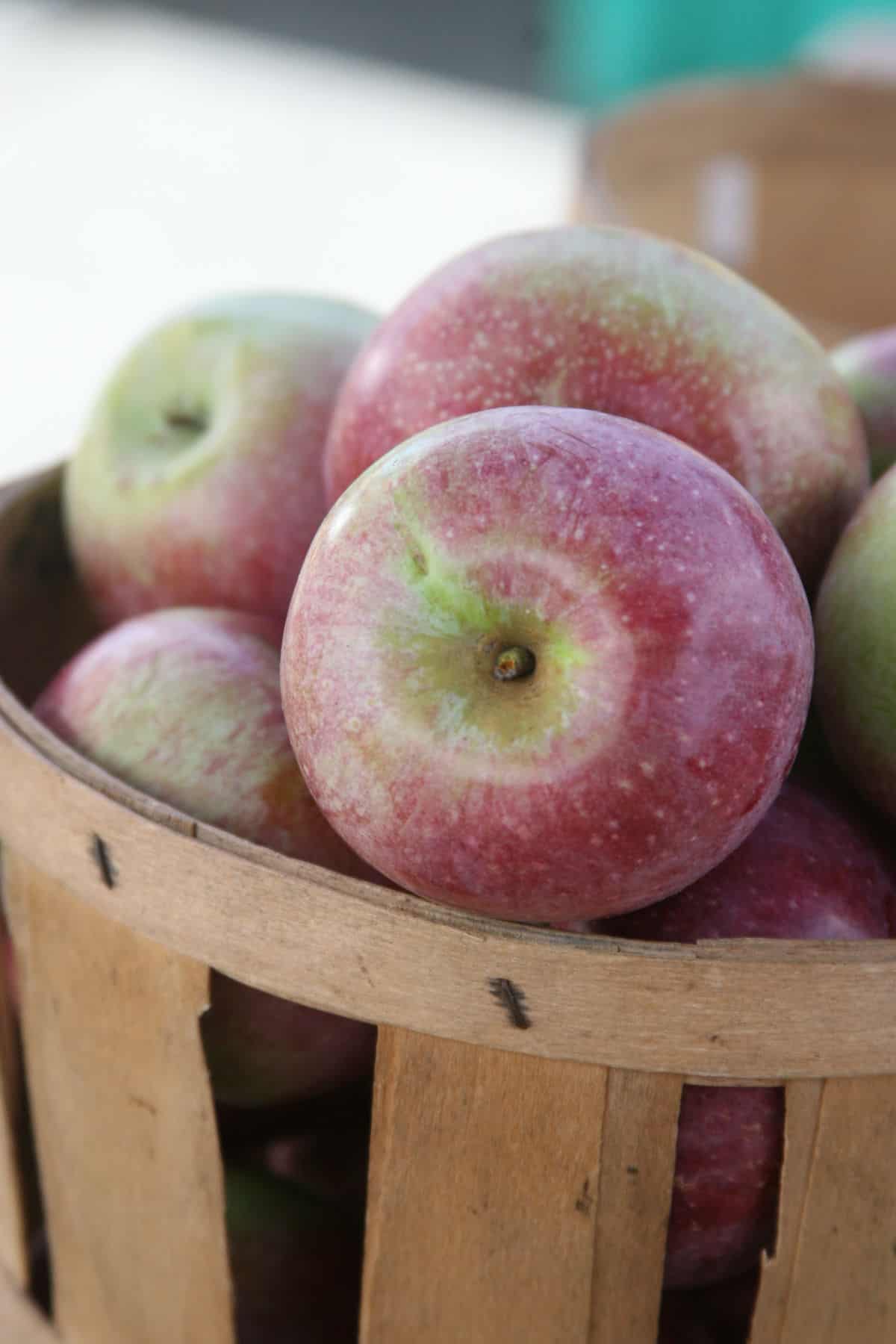 macoun apples in an apple orchard wooden basket.