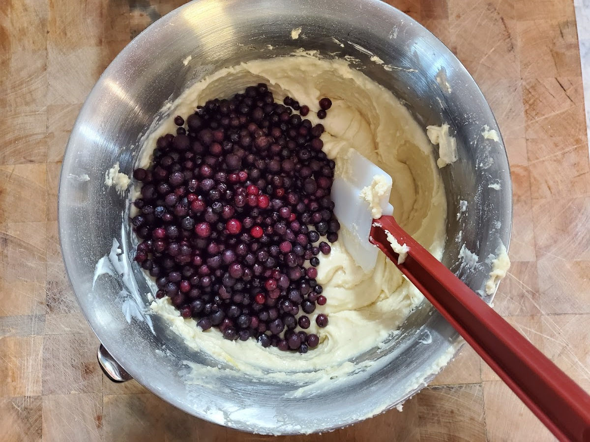 Metal mixing bowl with muffin batter, folding in wild blueberries with deep red handled rubber spatula.