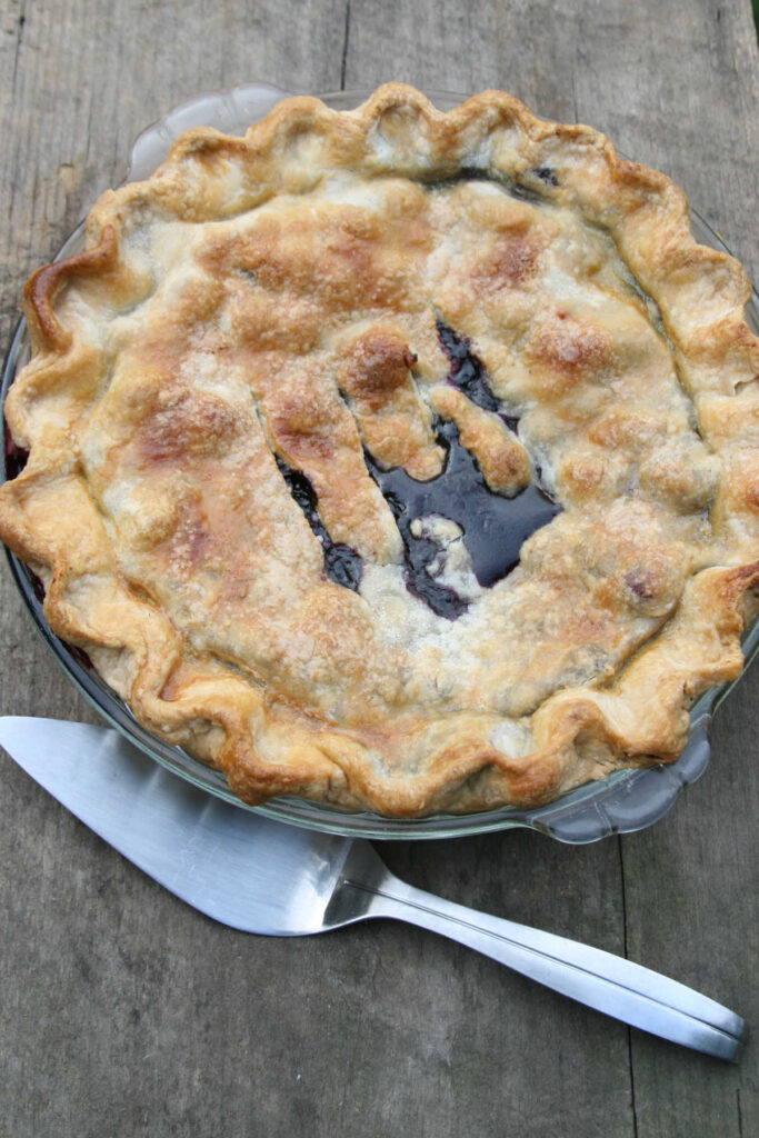 Blueberry Pie Recipe Homemade Pie Crust A Farmgirls Kitchen