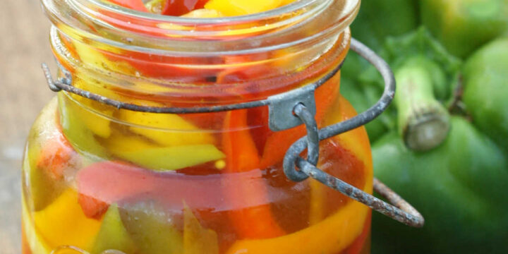 Vintage Mason jars filled with multi color pickled sweet peppers.