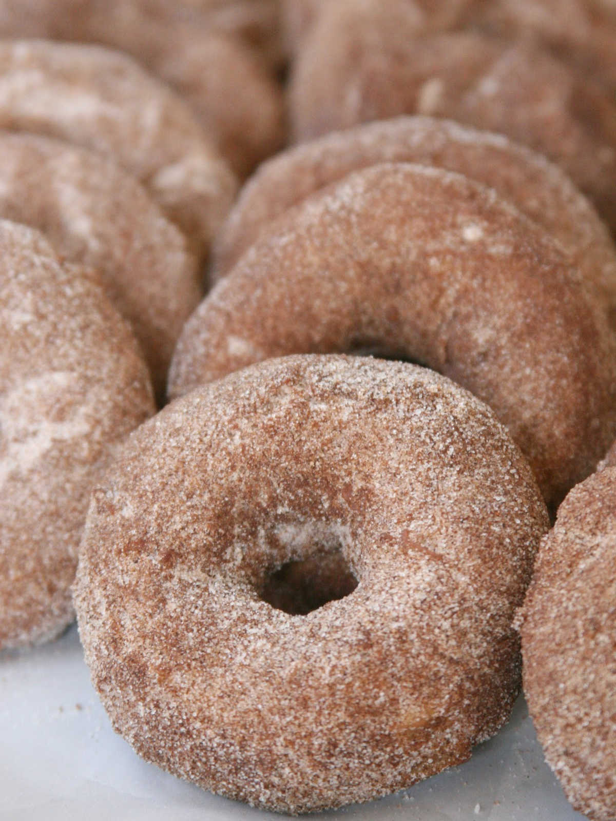 Cider donuts with cinnamon sugar coating leaning against each other on tray.