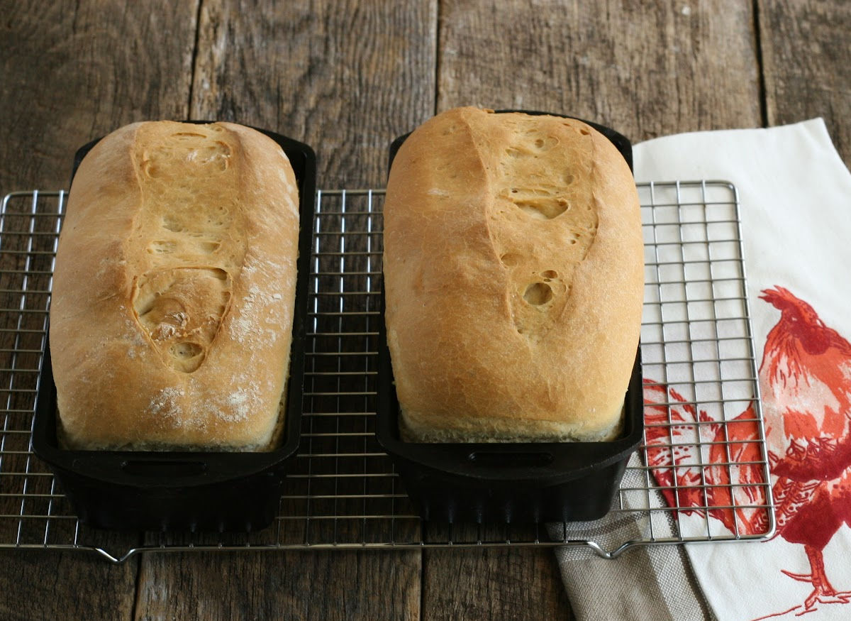 Two loafs of sourdough bread in cast iron loaf pans on metal baking rack, red rooster on white kitchen cloth.