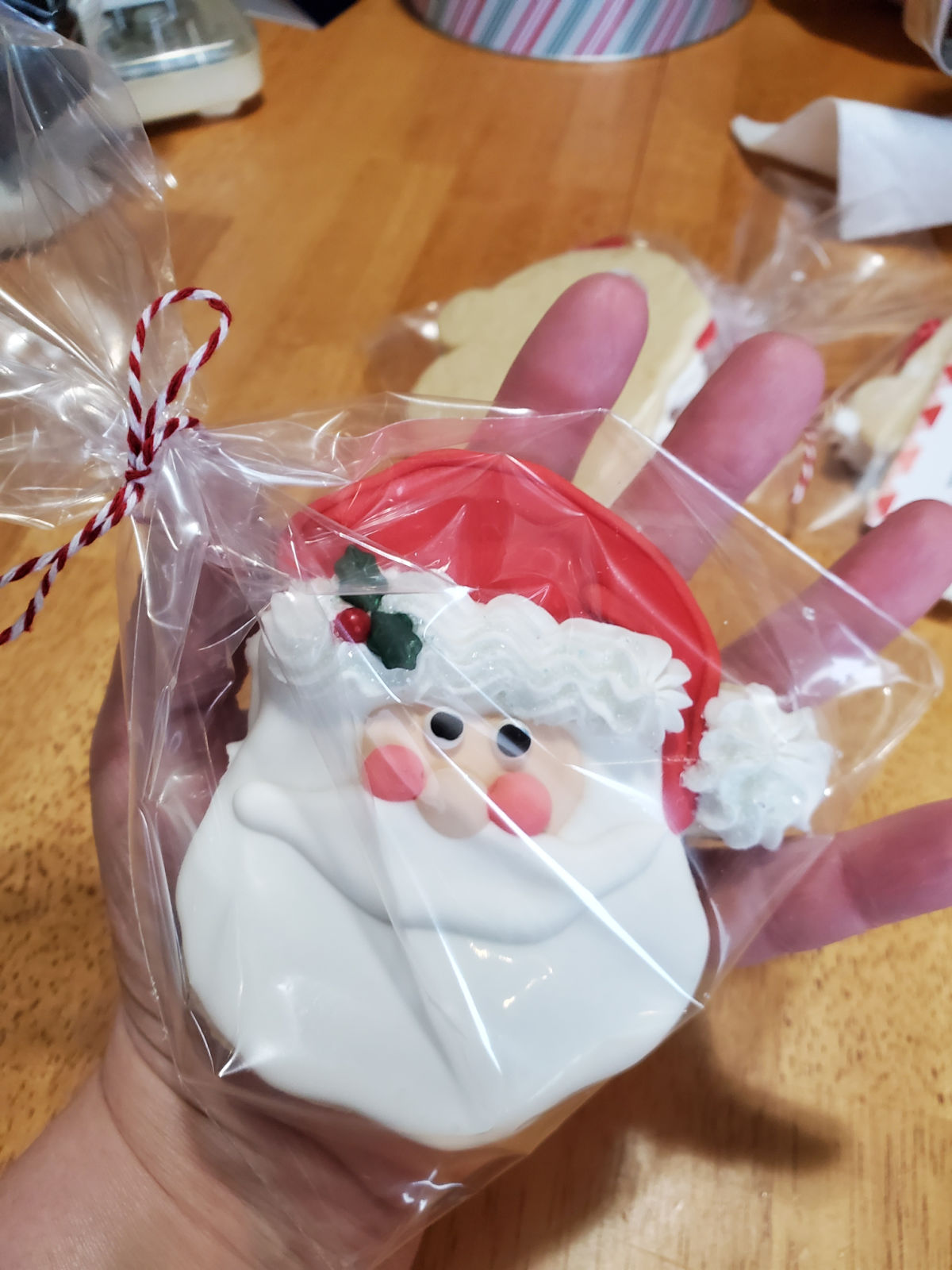 Santa sugar cookie with royal icing in clear plastic bag, hand holding it.