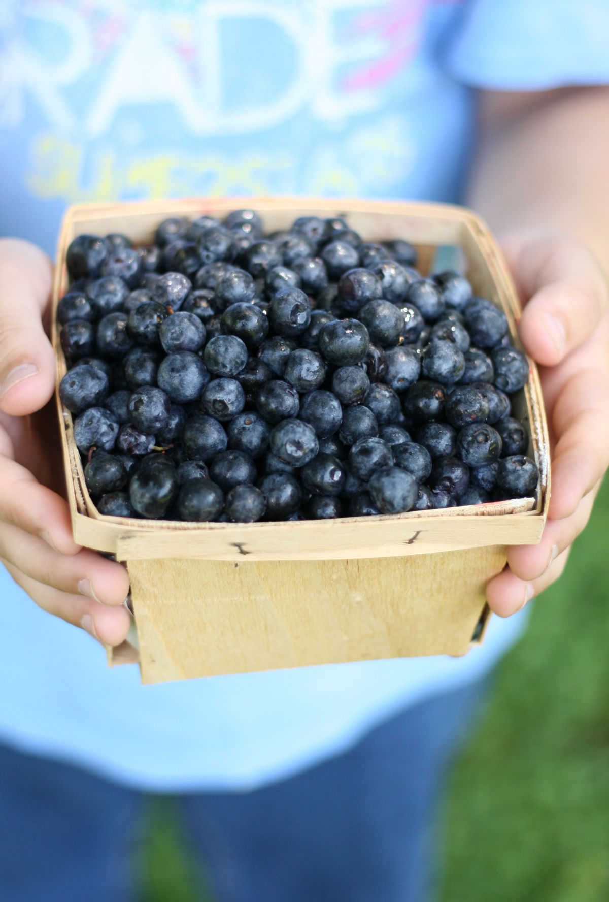 Child holding wooden basket of wild blueberries outdoors.