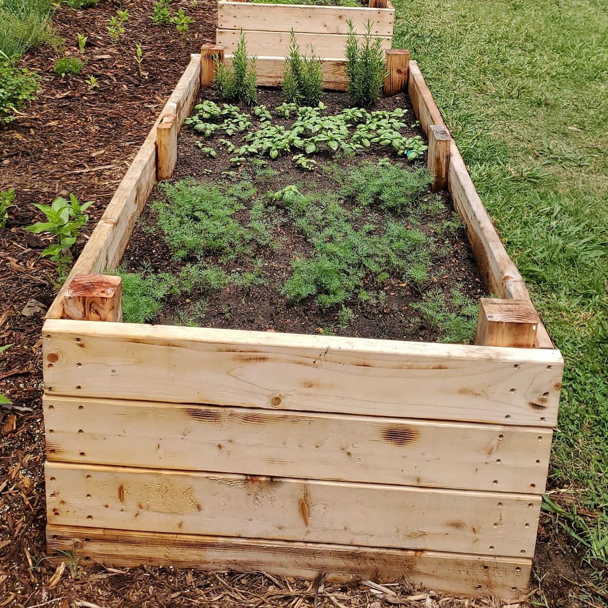 Image of Low garden bed made of wood