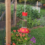 Glad hummingbird feeder with red plastic base hung in flower garden.