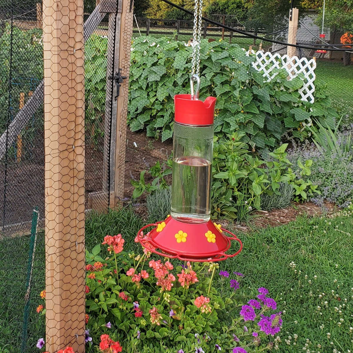 Hummingbird Feeder Nectar  Outdoor Yard Window Bird Plastic Red Clear Hanger 