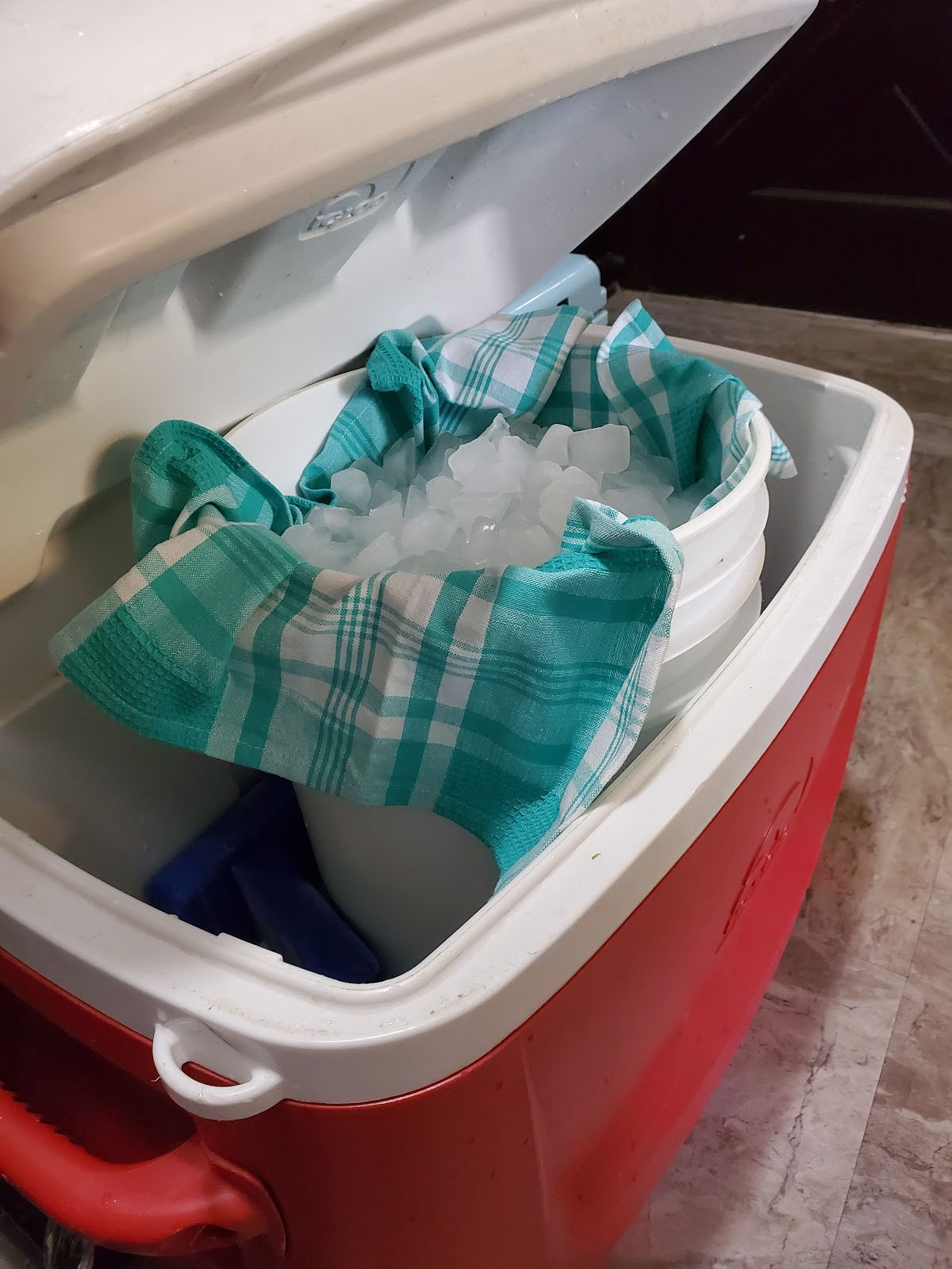 Red cooler with white top, white 5-gallon bucket inside cooler with teal green checkered dish cloth and ice on top.