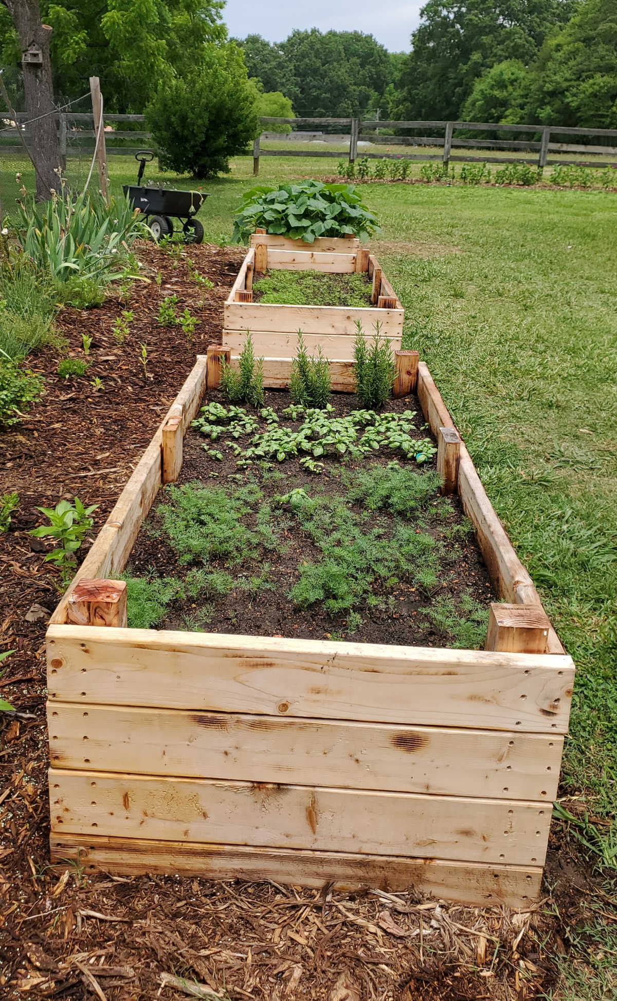 Raised Garden Bed A Farmgirl s Kitchen 