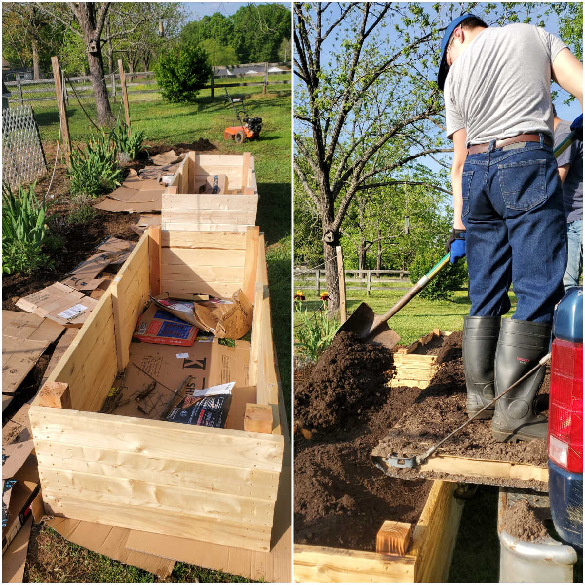 Pictures of DIY raised beds, putting soil into raised beds.