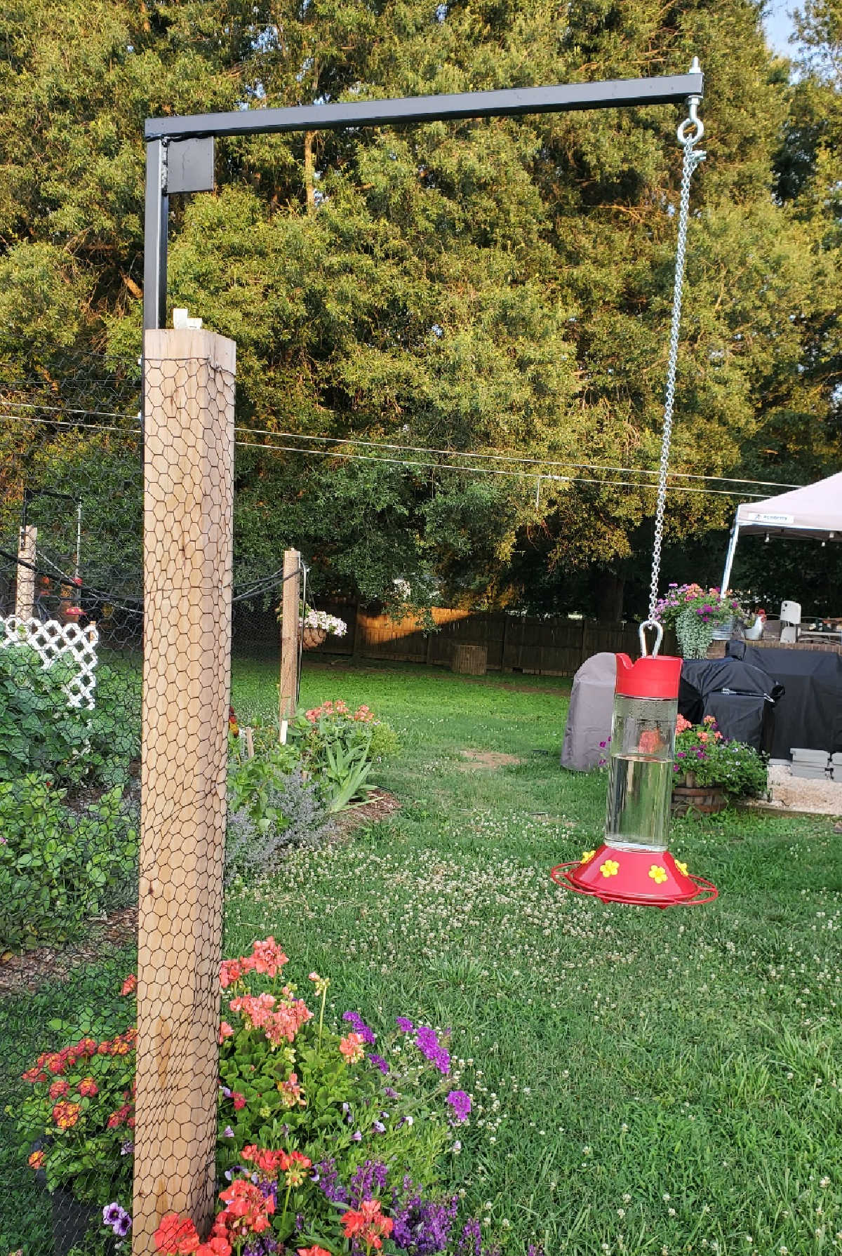 Hummingbird feeder hung off metal hanger on vegetable garden fence.