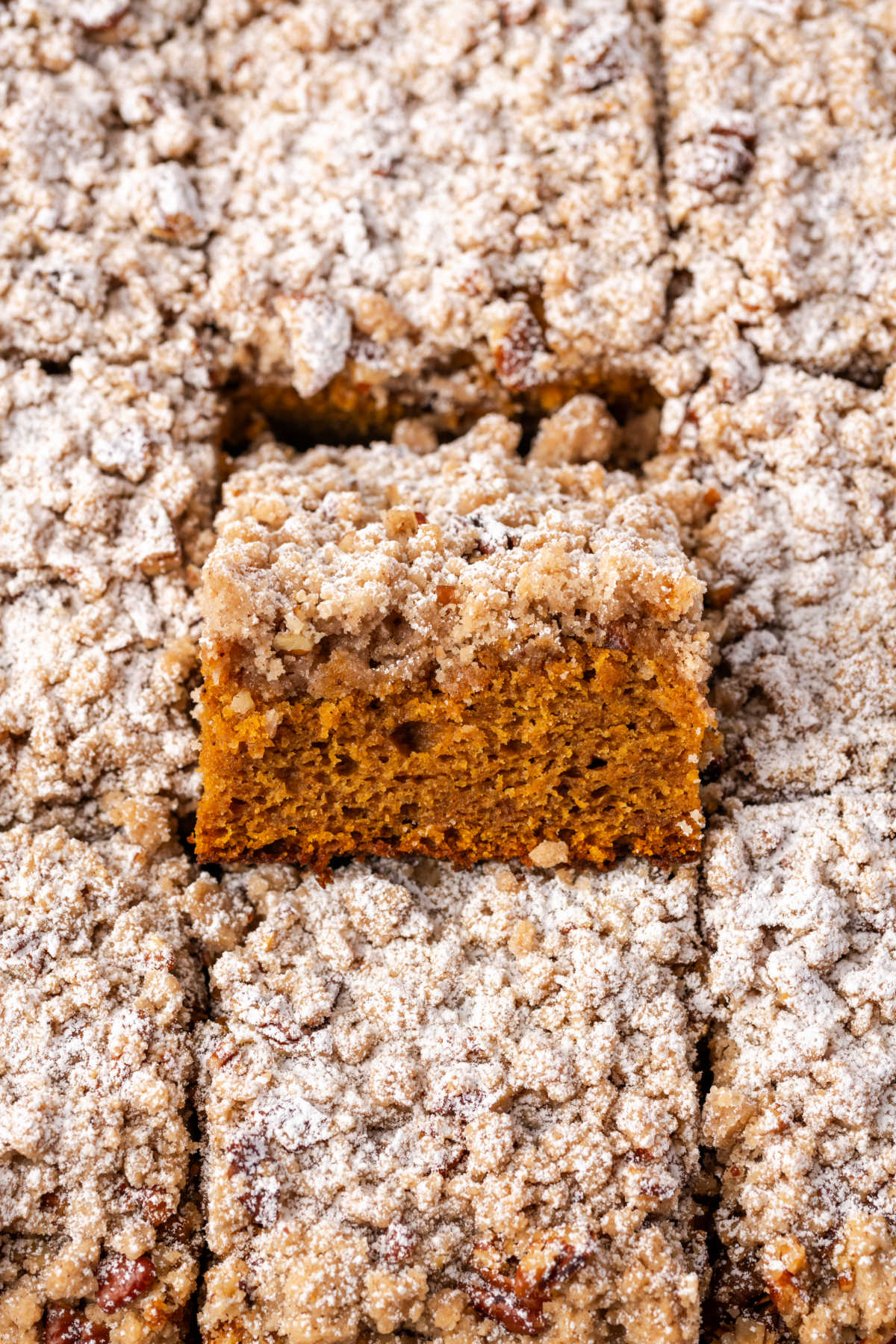 Pumpkin crumb cake cut into squares dusted with powdered sugar.