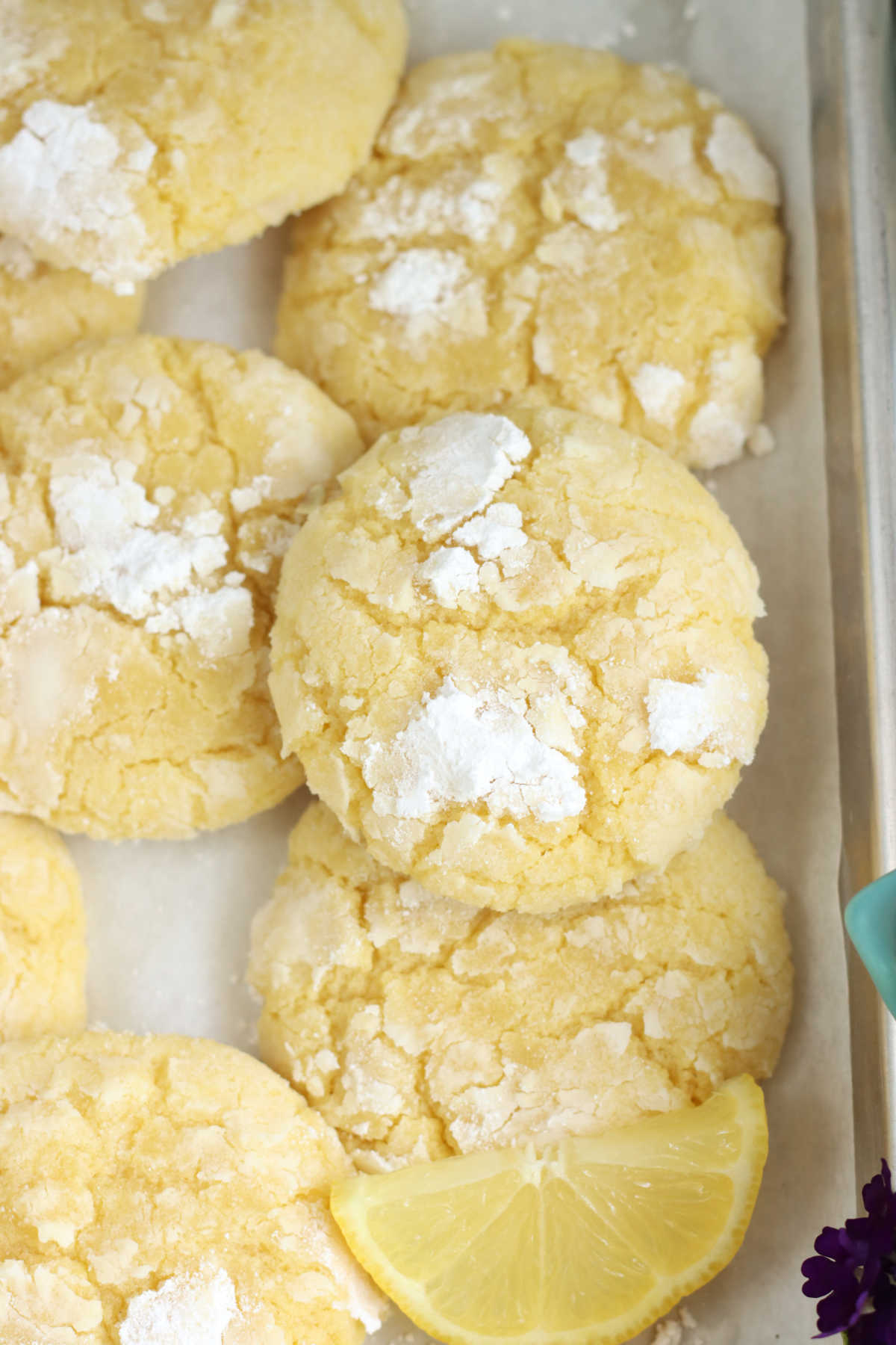 Close up of lemon cookies with powdered sugar on sheet pan.