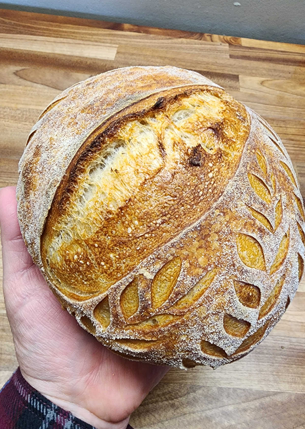 Loaf of sourdough bread in hands with wheat score marks.