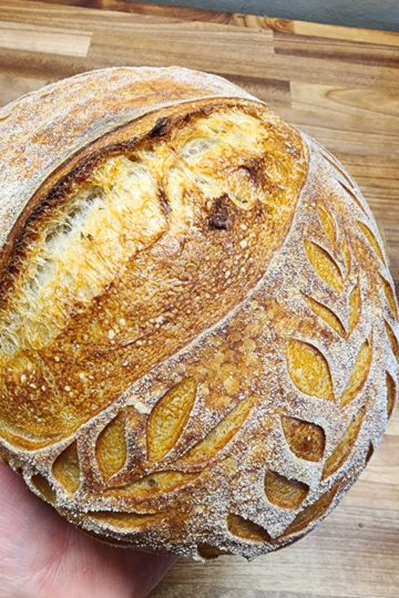 Small sourdough loaf held by hand.