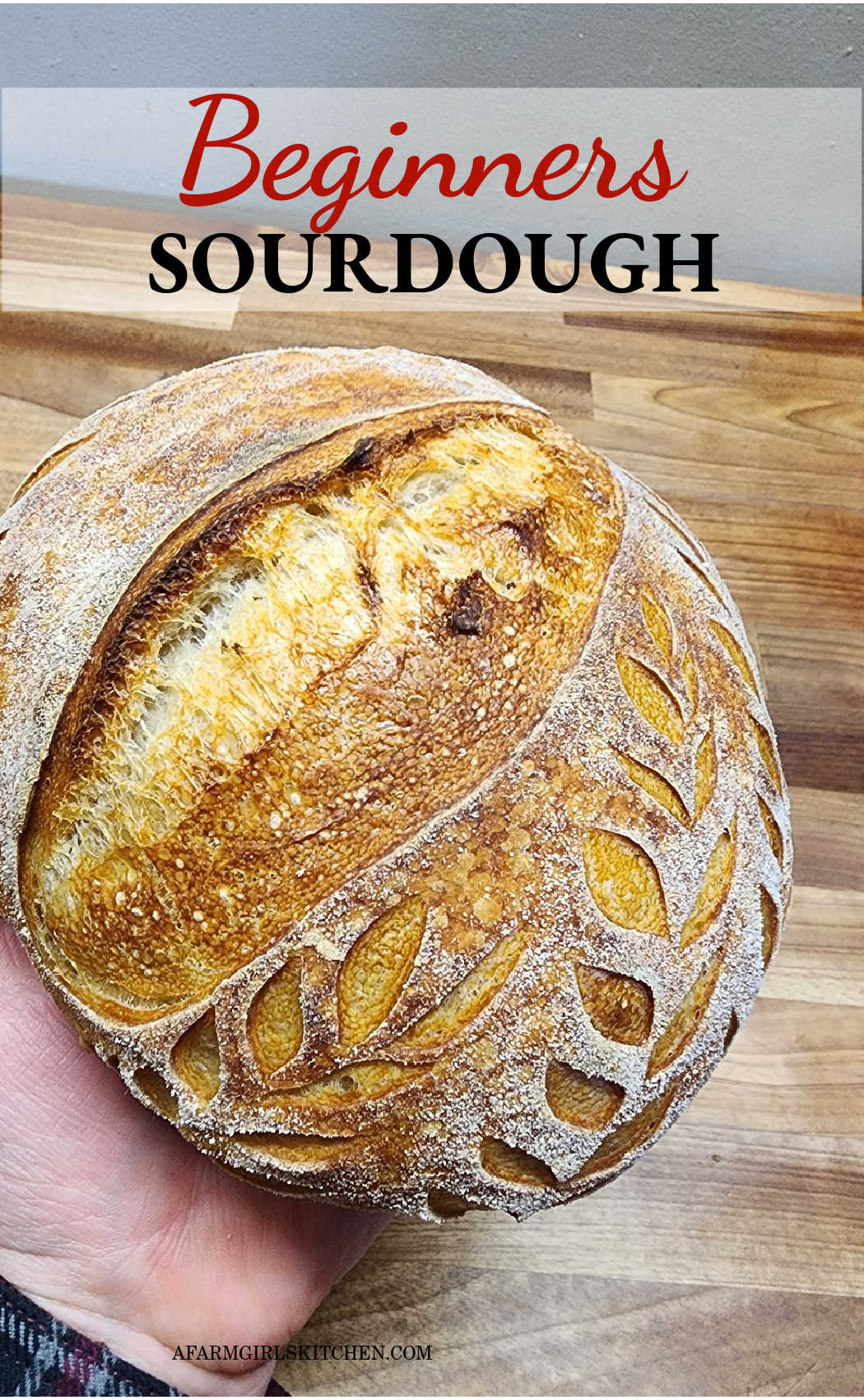 Beginners Sourdough Bread Recipe | A Farmgirl's Kitchen