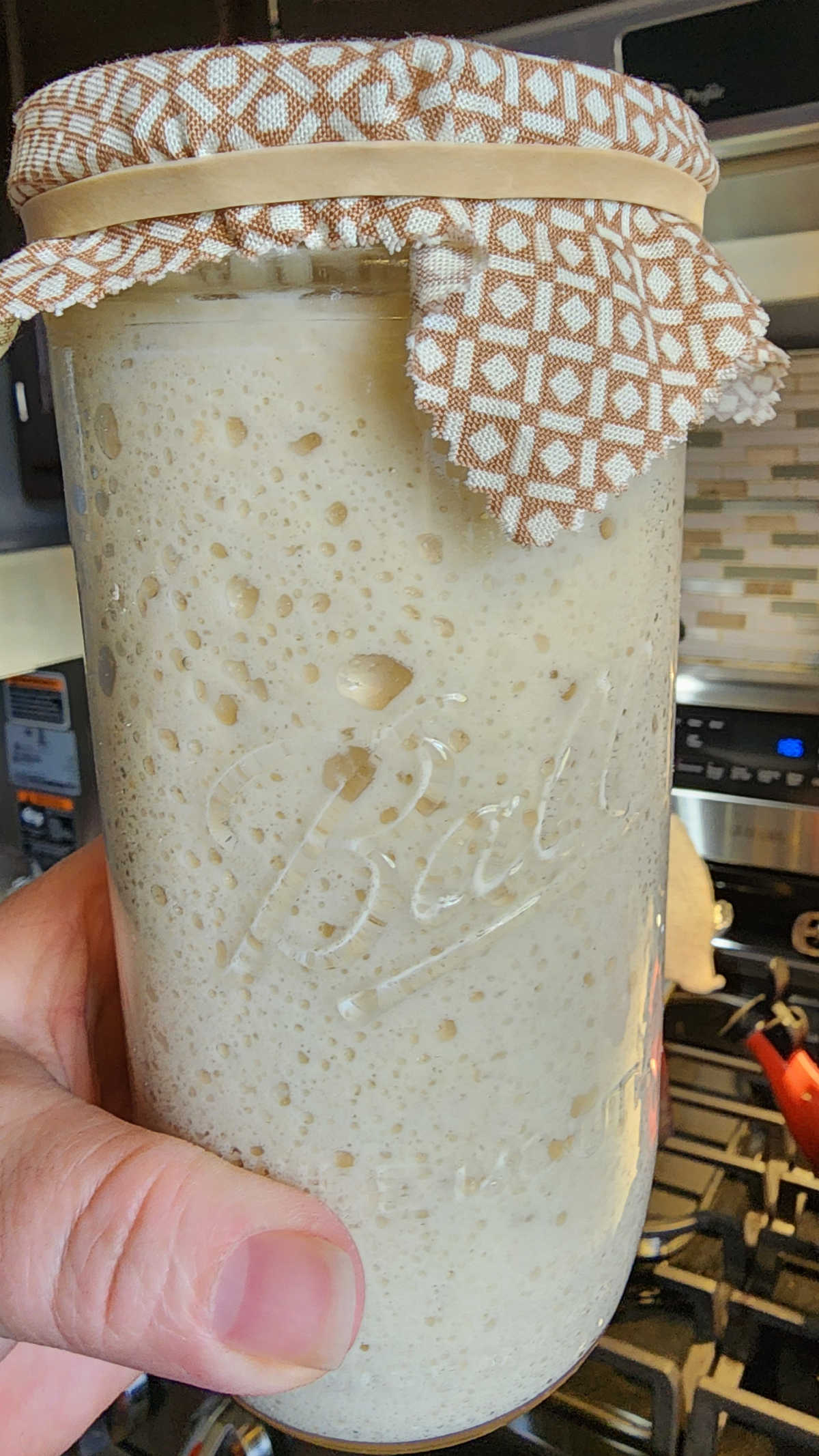 Jar of sourdough starter with bubbles, top covered with fabric square and rubber band.