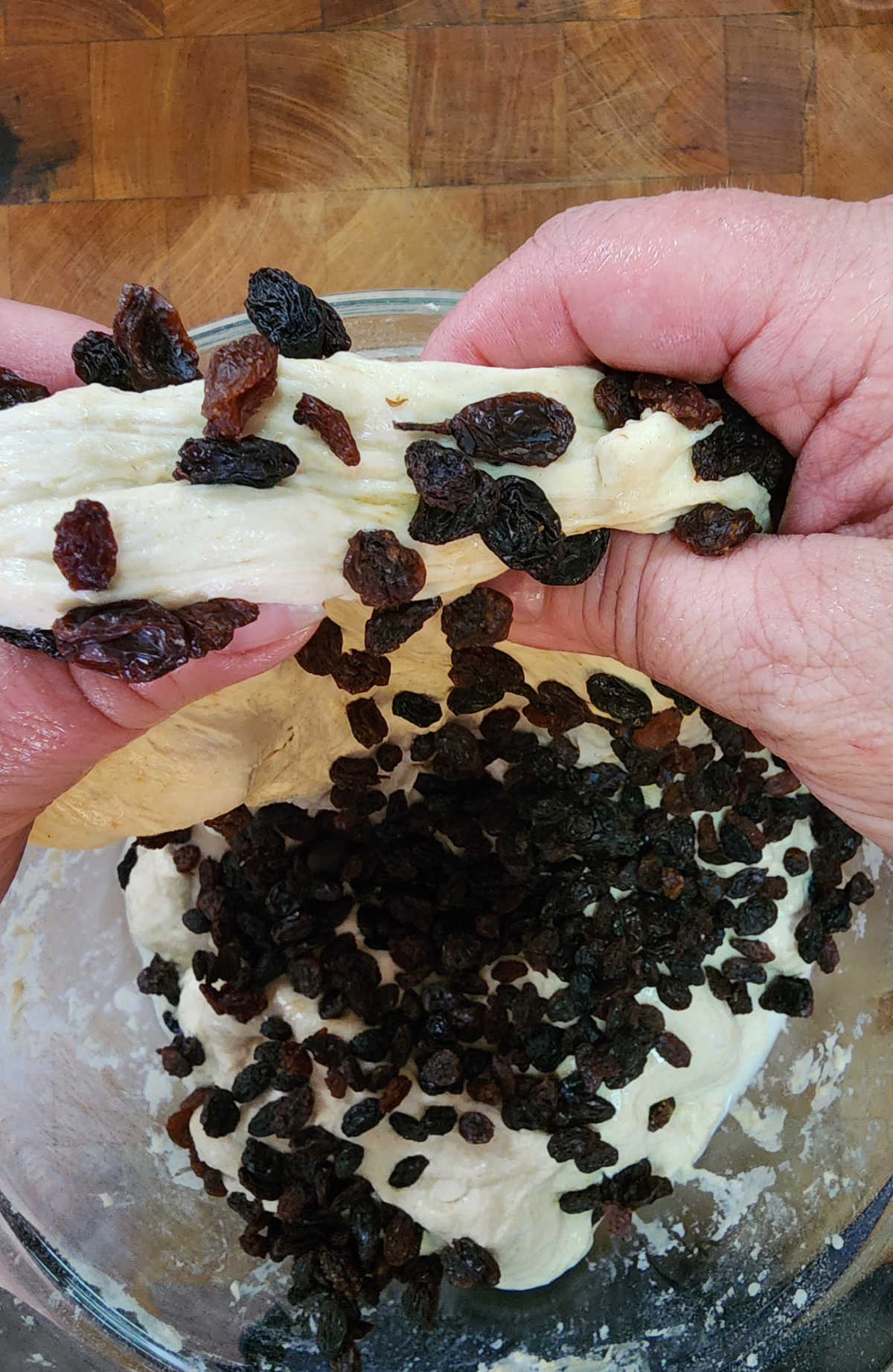 Hands stretch and folding raisins into sourdough dough.