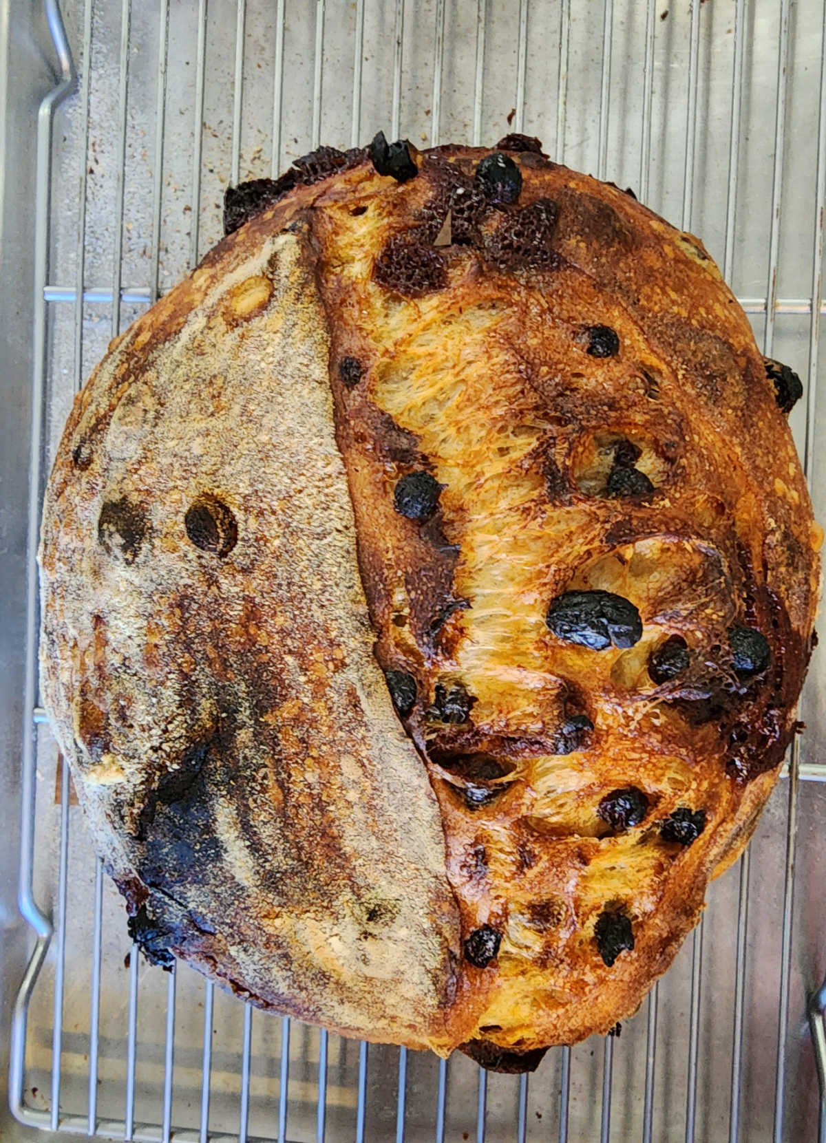 Cinnamon raisin sourdough loaf on metal baking rack.