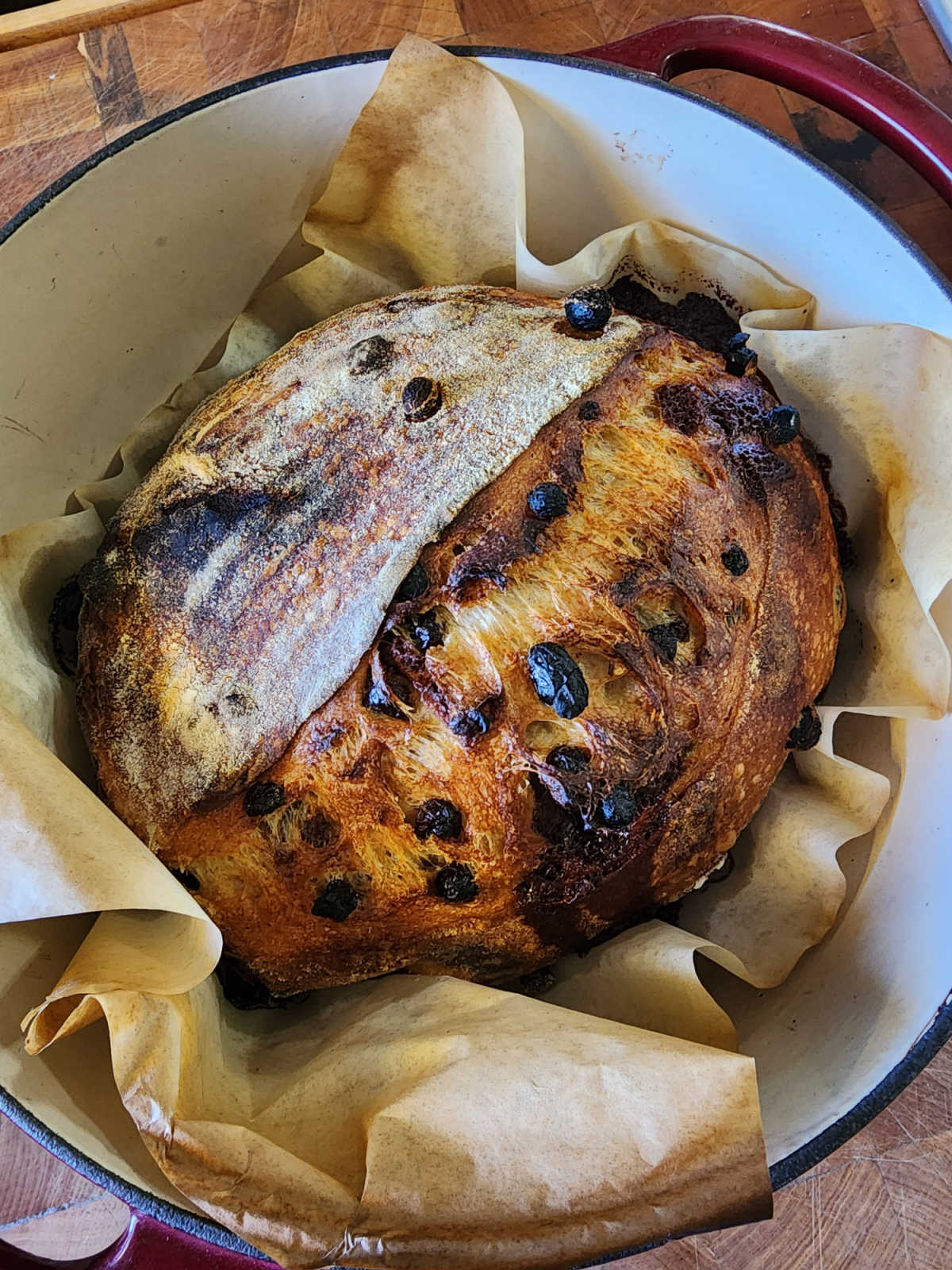 Baked cinnamon raisin sourdough bread in Dutch oven.