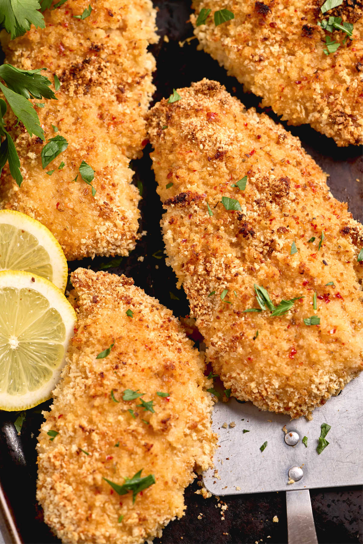 Breaded chicken breasts on sheet pan with fresh parsley and lemon slices.
