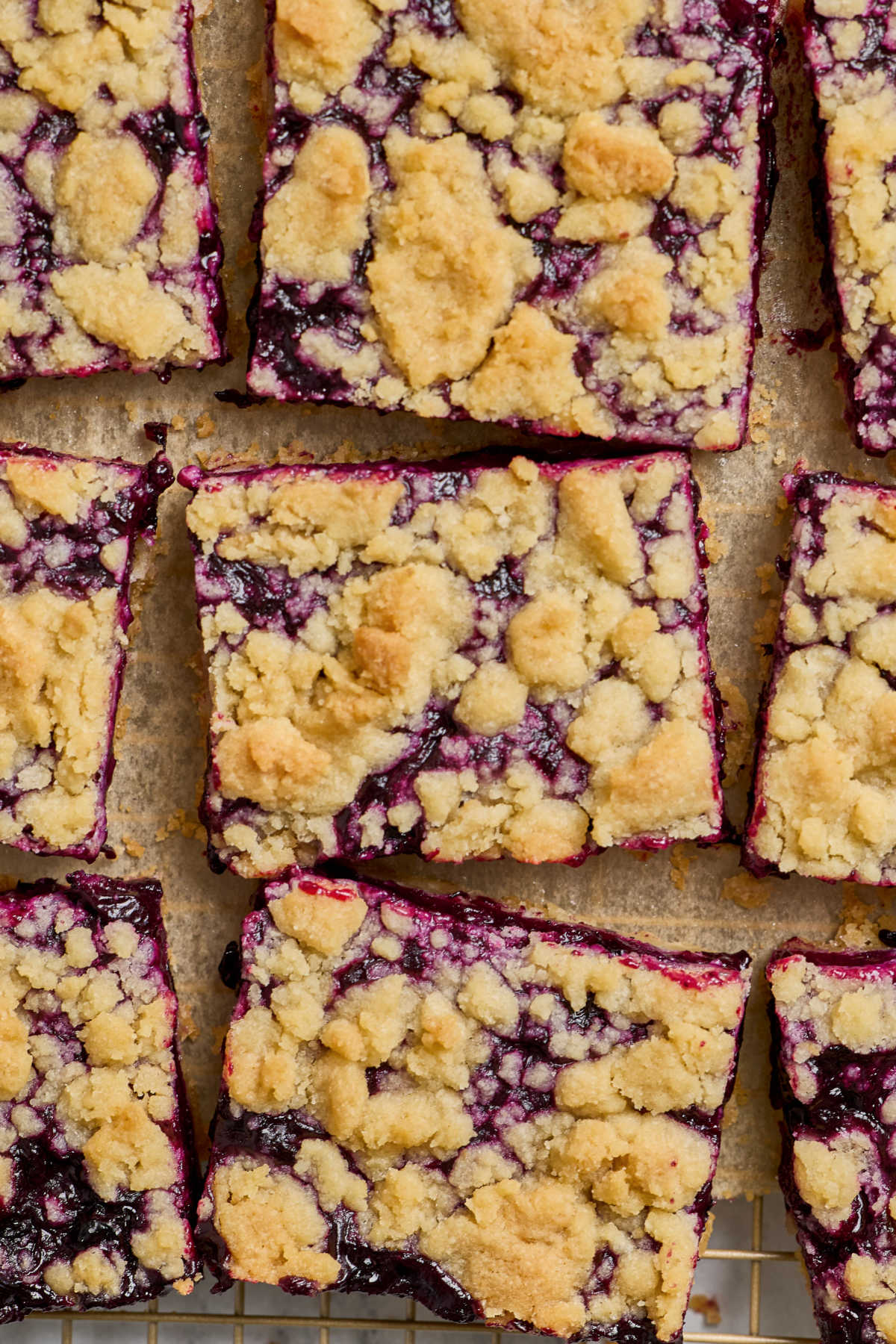 Close up of blueberry crumb bars.