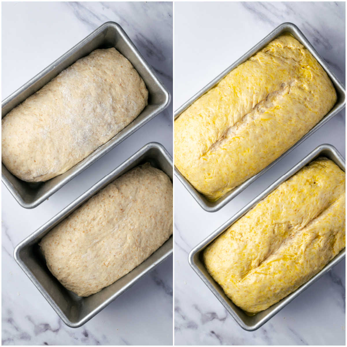 Unbaked bread in metal loaf pans before and after rising.